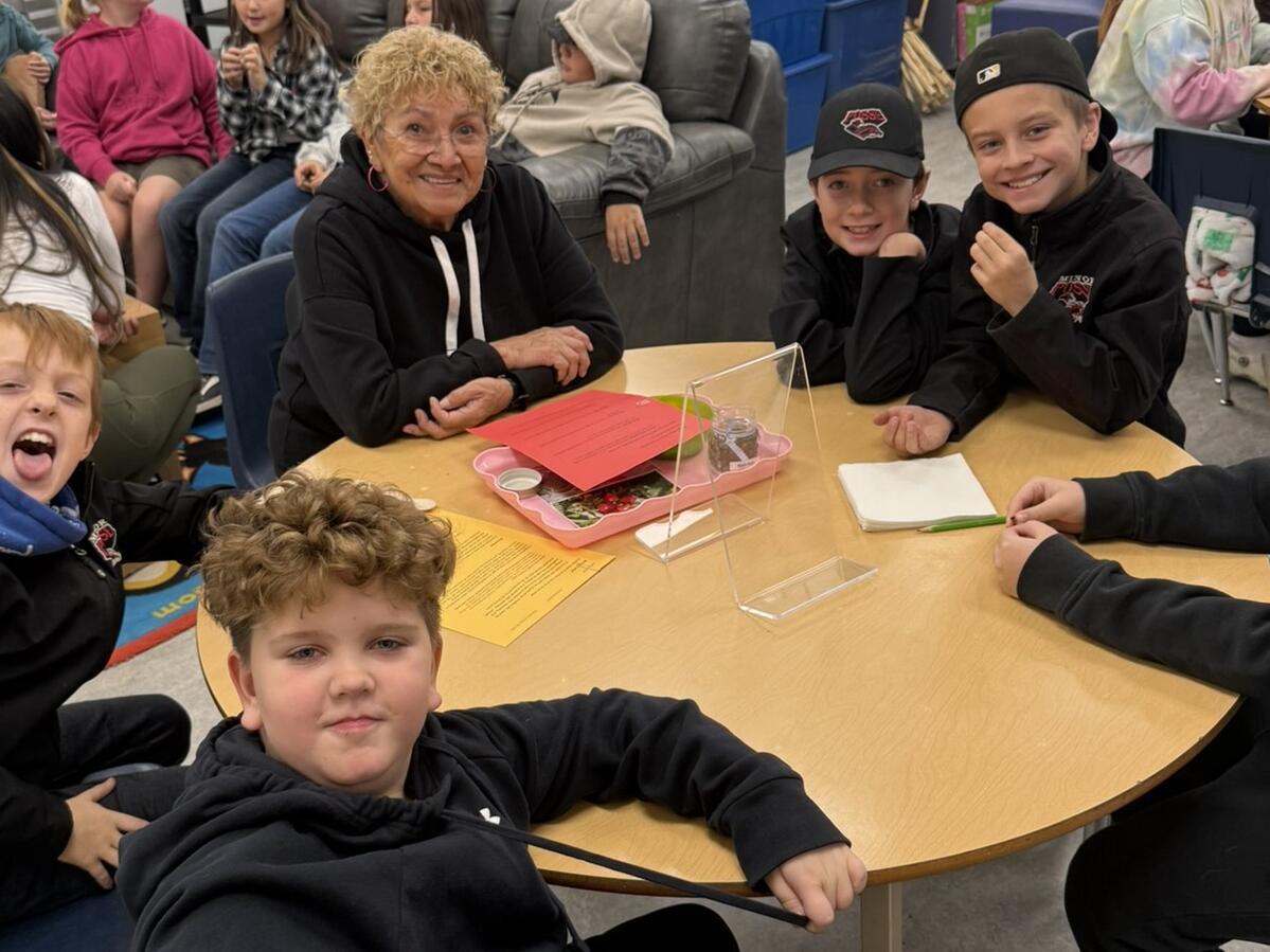 Traditional Medicines