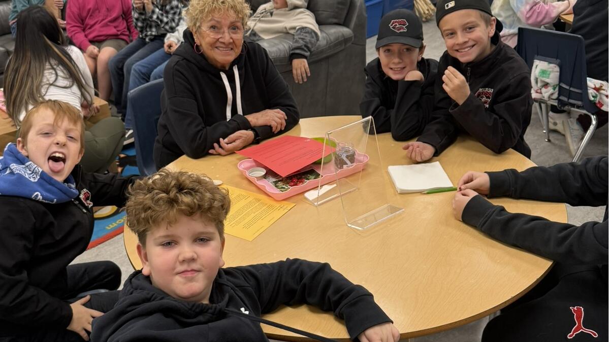 Traditional Medicines